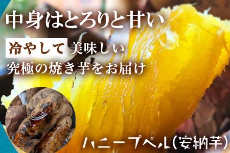 冷凍焼き芋 紅おとか (紅はるか系)＆ハニープぺル(安納芋) 食べ比べセット (合計1.2kg) 桃山天下芋本舗 やきいも さつまいも おやつ