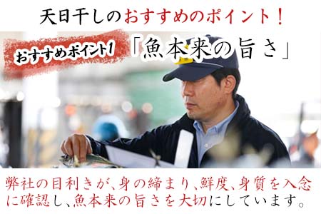 玄あじ玄さばと釣り赤むつの天日干し 3種12枚 セット 干物 おかず ギフト 昭徳