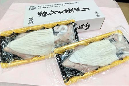活イカ姿造り大サイズ 2杯(250g前後×2)セット!鮮度抜群 捌きたて瞬間冷凍 いか活造り 刺身 簡単 呼子 ギフト