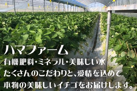 『先行予約』【令和8年2月中旬発送】唐津産 白いちご「雪うさぎ」苺 イチゴ 希少 果物 フルーツ ハマファーム