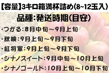 『先行予約』【令和7年8月中旬発送】厳選 九州旬のりんご 3キロ箱(8～12玉入) 九州 リンゴ 林檎 フルーツ 果物 つるが 秋映 紅将軍 シナノスイート シナノゴールド 3kg