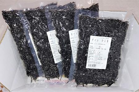 コリコリ食感 新芽のヒジキ(ボイル済) 250g×4パック(合計1kg) ひじき 真空パック 冷凍 煮物 サラダ 海藻