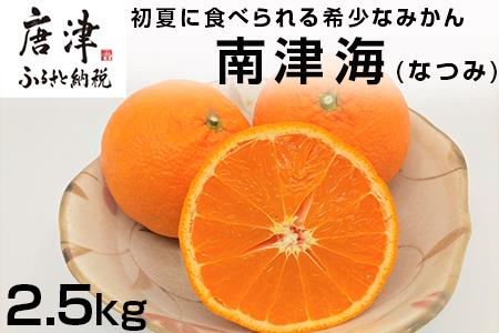 『予約受付』【令和7年4月上旬発送】南津海(なつみ) ハウス栽培 唐津産 2.5kg みかん ミカン 果物 フルーツ 柑橘