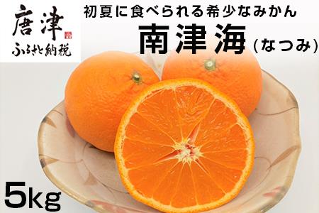 『予約受付』【令和7年4月上旬発送】南津海(なつみ) ハウス栽培 唐津産 5kg みかん ミカン 果物 フルーツ 柑橘