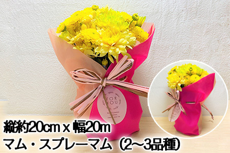 贈り物に そのまま飾れるスタンドマムブーケ pop yellow(イエロー系) 水替え不要 生花 お花 お祝 記念日 プレゼント「2023年 令和5年」