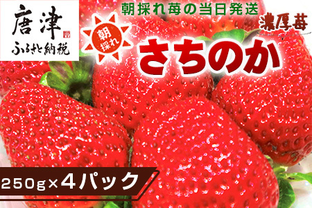 『先行予約』【令和7年3月より順次発送】濃厚苺 さちのか 250g×4パック(合計1kg) 濃厚いちご 苺 イチゴ 果物 フルーツ ビタミン