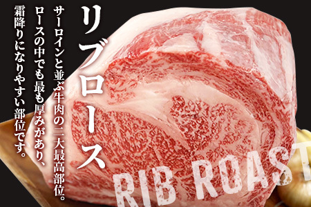 《佐賀牛》1ポンドステーキ約450g A5～A4等級限定 牛肉 ステーキ バーベキュー ローストビーフ かたまり リブロース キャンプ お取り寄せ 黒毛和牛 焼肉