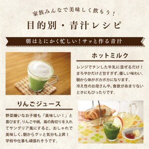 青汁 乳酸菌青汁 24個 セット 合計480袋 健康 飲料 ヘルシー 