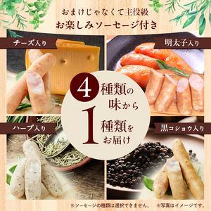 ふるさとセットR ハム ソーセージ 4種 【3ヶ月定期便】 お肉 ハム 