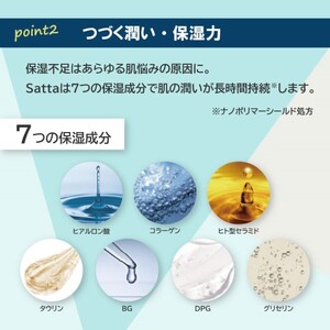 メンズ コスメ オールインワン 化粧水 Satta 150ml×2本 美容 