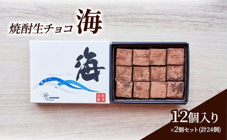 チョコレート 焼酎 生チョコ 「海」12個入り×2個 セット (合計24個) チョコ ※配送不可：北海道、沖縄、離島 4,050円