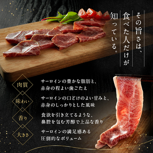 生ハム 佐賀県産和牛 サーロイン・赤身生ハム 各2枚 セット (約40g×4p)