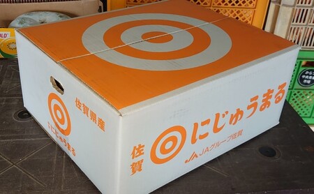 みかん 家庭用 佐賀県産 にじゅうまる 約5kg 柑橘類 ※配送不可:北海道、沖縄県、離島