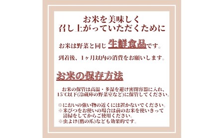 期間限定 令和7年度産 米 さがびより 佐賀県産 白米 6kg (3kg×2袋) 五つ星お米マイスター厳選 ご飯 白飯 お米 コメ こめ ※配送不可:離島