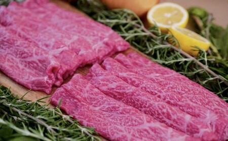 佐賀牛 すきやき 切落 500g ※配送不可：北海道、沖縄、離島