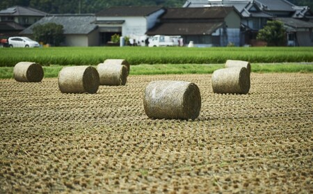 佐賀牛 サーロイン ステーキ 400g/すきやき 800g ※配送不可:北海道、沖縄、離島