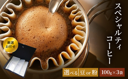 珈琲 クドー珈琲豆店 スペシャルティコーヒー 厳選 お任せ セット (豆 or 粉)【100g×3袋】 粉