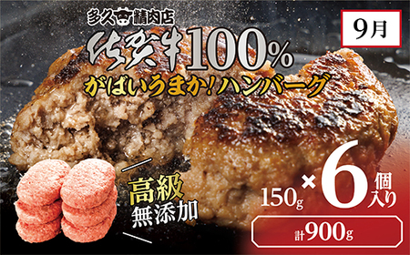 f-81 【奇数月に計６回】佐賀牛 定期便 | 牛肉 サーロイン ステーキ 焼き肉用 赤身 佐賀牛ハンバーグ 焼き肉用 カルビ 佐賀牛100％ハンバーグ ロース ステーキ