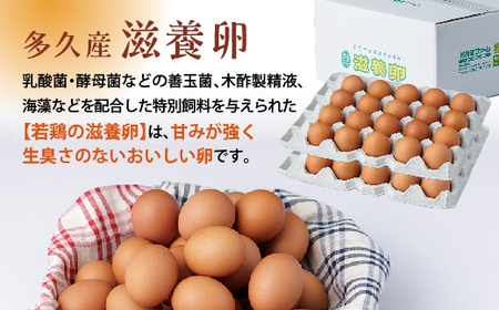 まろやかなコクと甘み！多久産 滋養卵 40個 卵 若鶏の滋養卵 _a-92