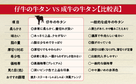 【定期便 12ヶ月】厚切り牛タンステーキ 塩味 600g×12回 定期便 _l-7