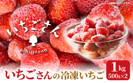 冷凍いちご（いちごさん）1kg（500g×2） _b-502