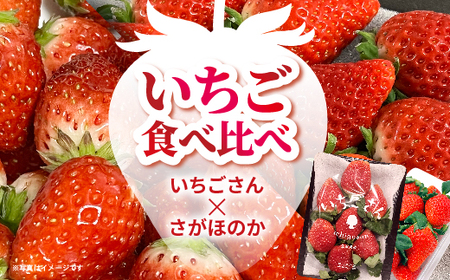 いちご食べ比べ(いちごさん・さがほのか) _b-497