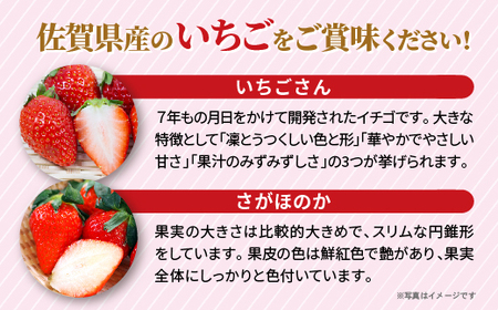 いちご食べ比べ(いちごさん・さがほのか) _b-497