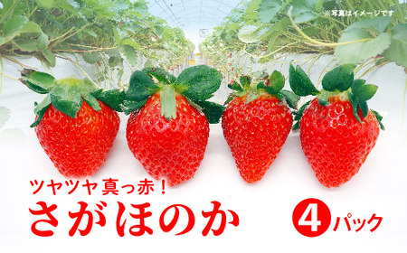 さがほのか 4パック _b-498