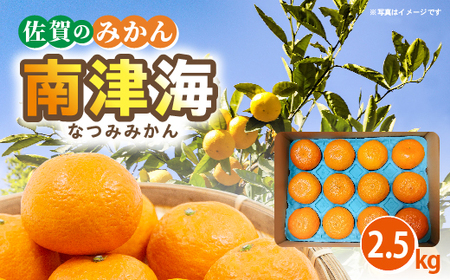 【贈答向け】南津海(なつみ)みかん 2.5kg _b-500
