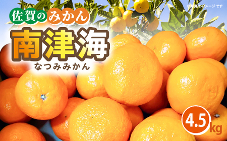 【ご家庭向け】南津海（なつみ）みかん 4.5kg _b-501
