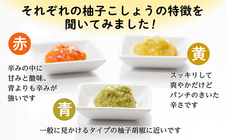 柚子こしょう 辛さ控えめ 1kg 青 柚子胡椒(ゆずこしょう) _b-180