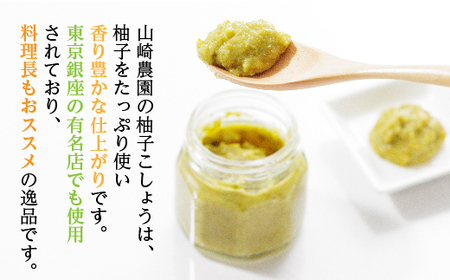 柚子こしょう 辛さ控えめ 1kg 赤 柚子胡椒(ゆずこしょう) _b-183