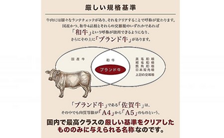 ｍ－３　【奇数月６回】老舗の佐賀牛１００％ハンバーグ定期便