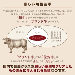ｍ－４　【偶数月６回】老舗の佐賀牛１００％ハンバーグ定期便