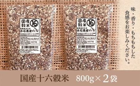 ｂ－３６４　国産十六穀米　８００ｇ×２袋