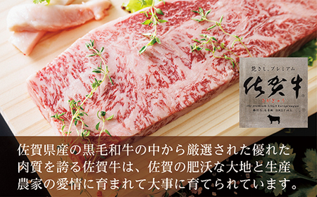 佐賀牛 サーロイン ステーキ 250g×4枚 _k-16