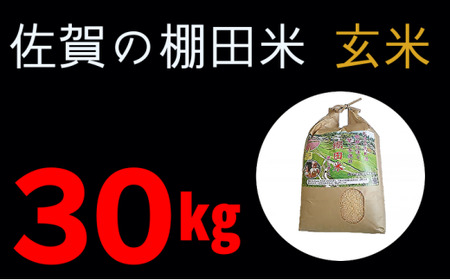 d-27 【 令和６年産 】 棚田米 夢しずく 玄米 30kg | ひらの棚田米