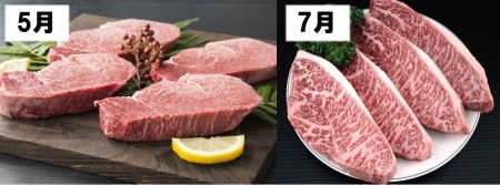 伊万里牛食べつくし 定期便 6回便 モモスライス入り ヒレステーキ 30万円コース 999-J253