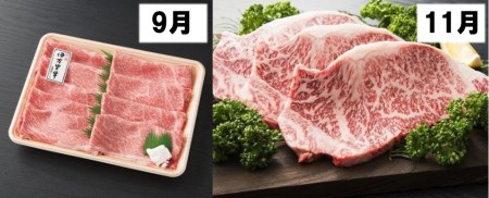 伊万里牛食べつくし 定期便 6回便 モモスライス入り ヒレステーキ 30万円コース 999-J253