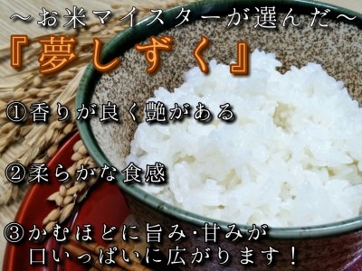 【無洗米】お米マイスター厳選!!食べ比べ【さがびより2kg・夢しずく2kg】 B141