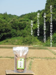 もち麦(ダイシモチ)1600g×2袋 034-B146