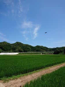 佐賀県産さがびより10kg B147