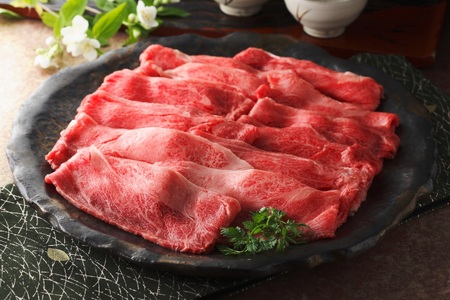 三栄の佐賀牛スライス(約500g) 167-J887