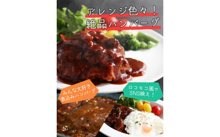 佐賀牛入りがばいハンバーグ150ｇ×10個 161-J1480