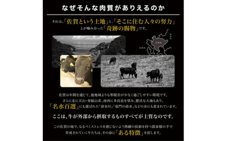 佐賀牛はしっこちゃん1Kg 161-J1223