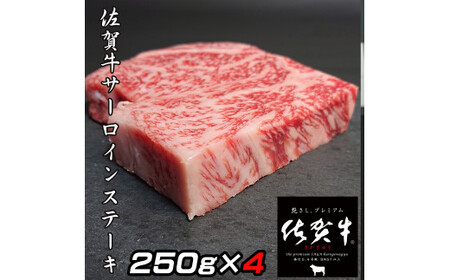 佐賀牛Ａ5サーロインステーキ250g×4枚 161-J776
