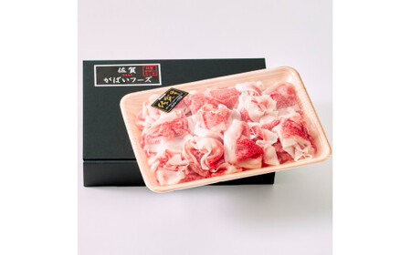 佐賀牛 切り落とし 1kg（ 500g × 2パック） 161-J880