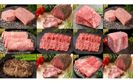 佐賀牛毎月プレミアム定期便12回コース 999-J905