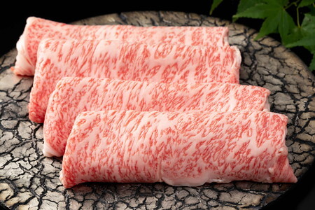 【定期便】厳選佐賀牛隔月お届け(偶数月)全6回 J1170