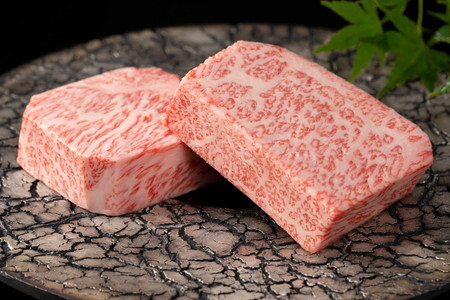 【定期便】特選佐賀牛毎月月替わりでお届け全12回 J1172